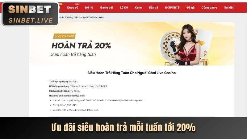Biểu tượng hoàn tiền, minh họa chương trình hoàn trả hàng ngày